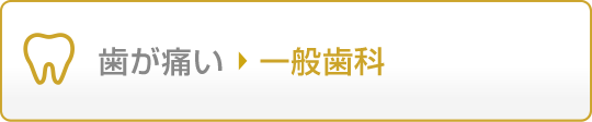 歯が痛い 一般歯科