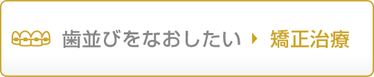 歯並びをなおしたい 矯正治療