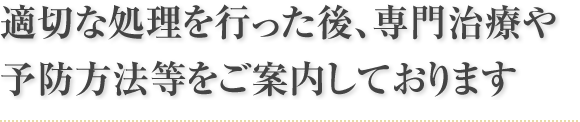 適切な処理を行った後、専門治療や予防方法等をご案内しております